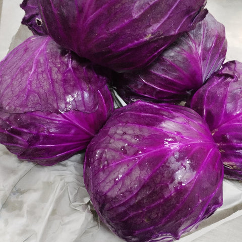 Quanfa Organic Imported Vegetables Red Cabbage