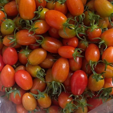 Organic Vegetables Cherry Tomato
