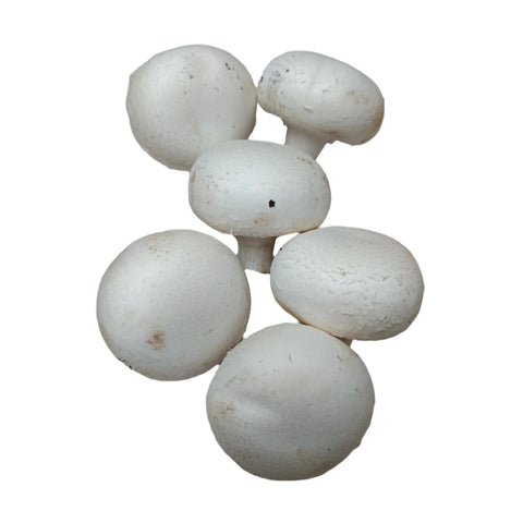 Quanfa Organic Mushroom Vegetables White Button Mushroom