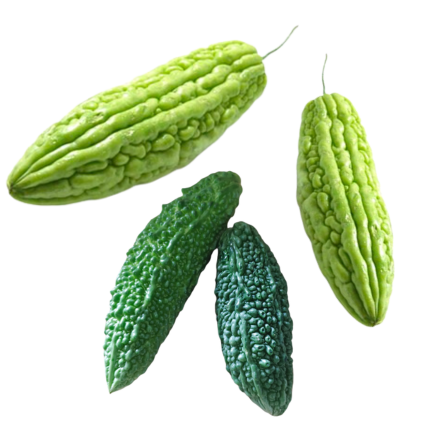 Quanfa Organic Hardy Vegetables Bitter Gourd – QuanFa Organic and