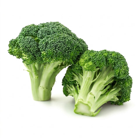 Organic Broccoli - 芥兰花 - ブロッコリー