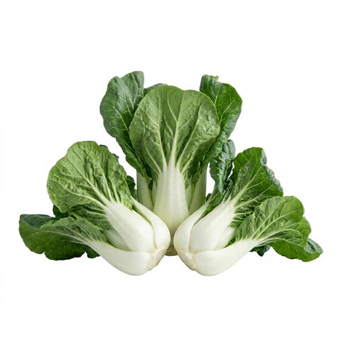 Organic Nai Bai - 奶白