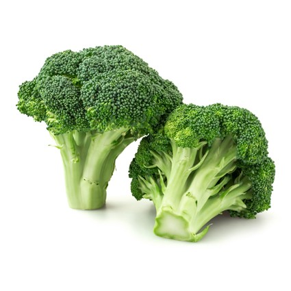 Quanfa Organic Imported Vegetables Broccoli