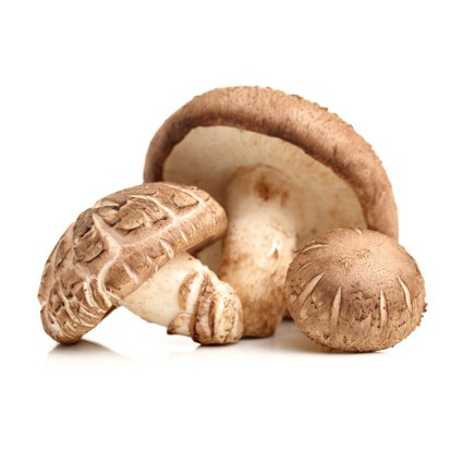 Quanfa Organic Mushroom Vegetables Shitake Mushroom