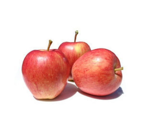 Organic Fruit Red Apple Nz Fuji