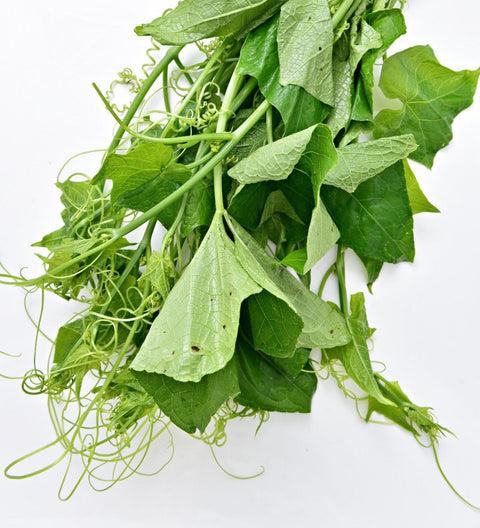 Organic Vegetable Chayote Shoots