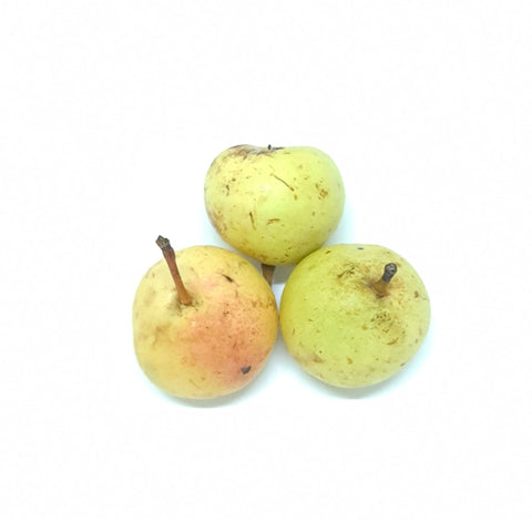 Organic Fruit Fresh in Pear