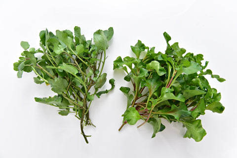 Organic Vegetables Watercress