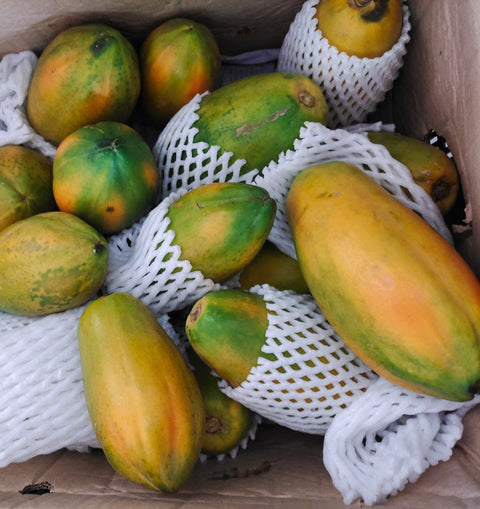 Quanfa Organic Fruits Papaya