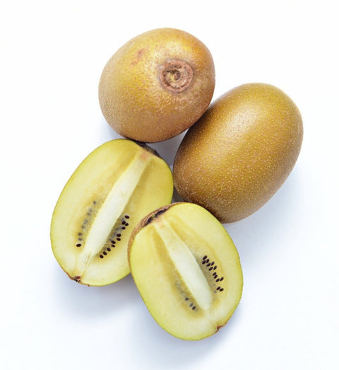 Quanfa Organic Gold Kiwi
