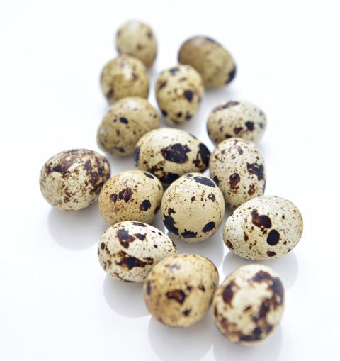 Organic Local Quail Egg