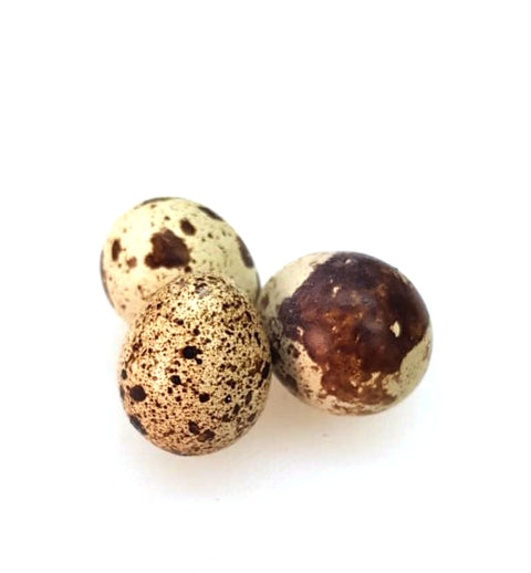 Organic Local Quail Egg