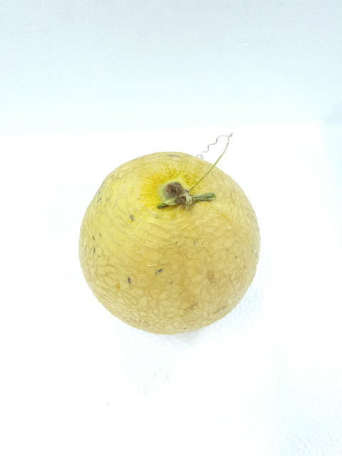 Organic Fruit Rock Melon