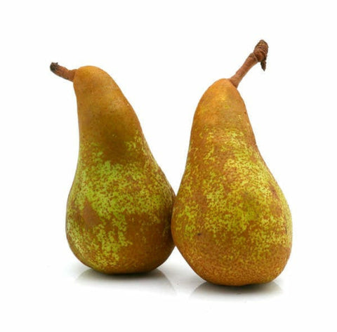 Organic Fruit Pear