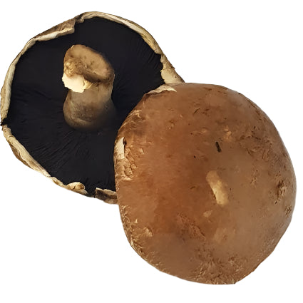 Quanfa Organic Mushroom Vegetables Portobello Mushroom