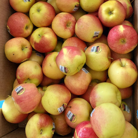 Organic Fruit Red Apple Sorted Blemish Ugly