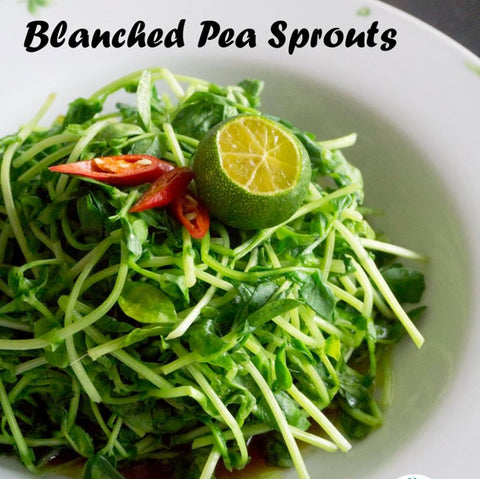 Organic Vegetable Snow Pea Sprout Dou Miao