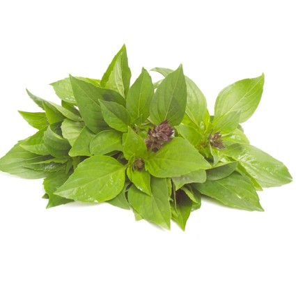 Organic Thai Basil