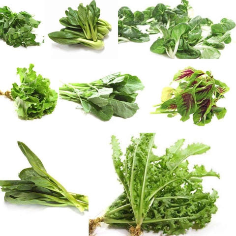 Organic Leafy Vegetable The Farmers Choices