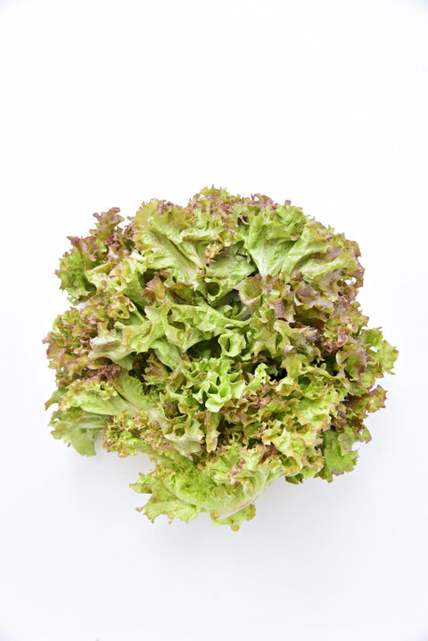 Quanfa Organic Leafy Vegetables Local Lettuce