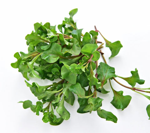 Organic Vegetable Watercress