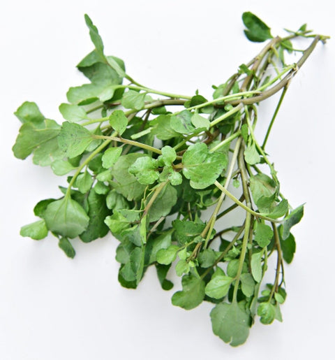 Organic Vegetable Watercress