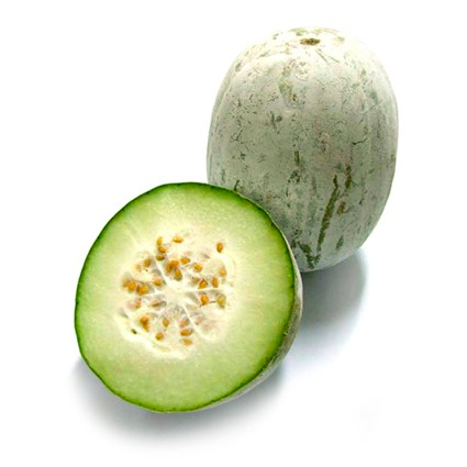 Quanfa Organic Hardy Vegetables Winter Melon