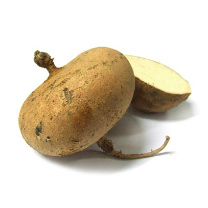 Quanfa Organic Hardy Vegetables Turnip